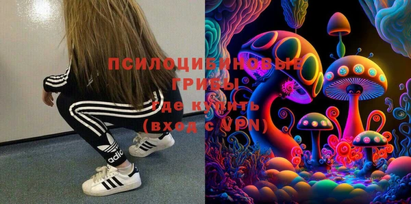 прущие грибы Абаза