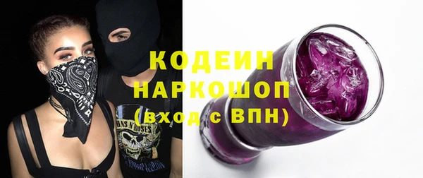 прущие грибы Абаза