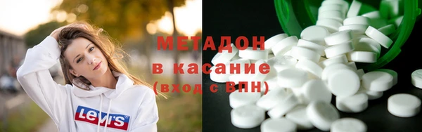 прущие грибы Абаза