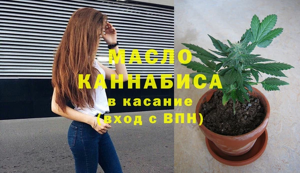 прущие грибы Абаза