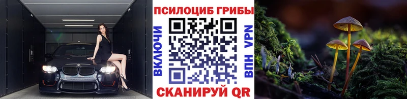 Галлюциногенные грибы Psilocybe  купить наркоту  Ивантеевка 